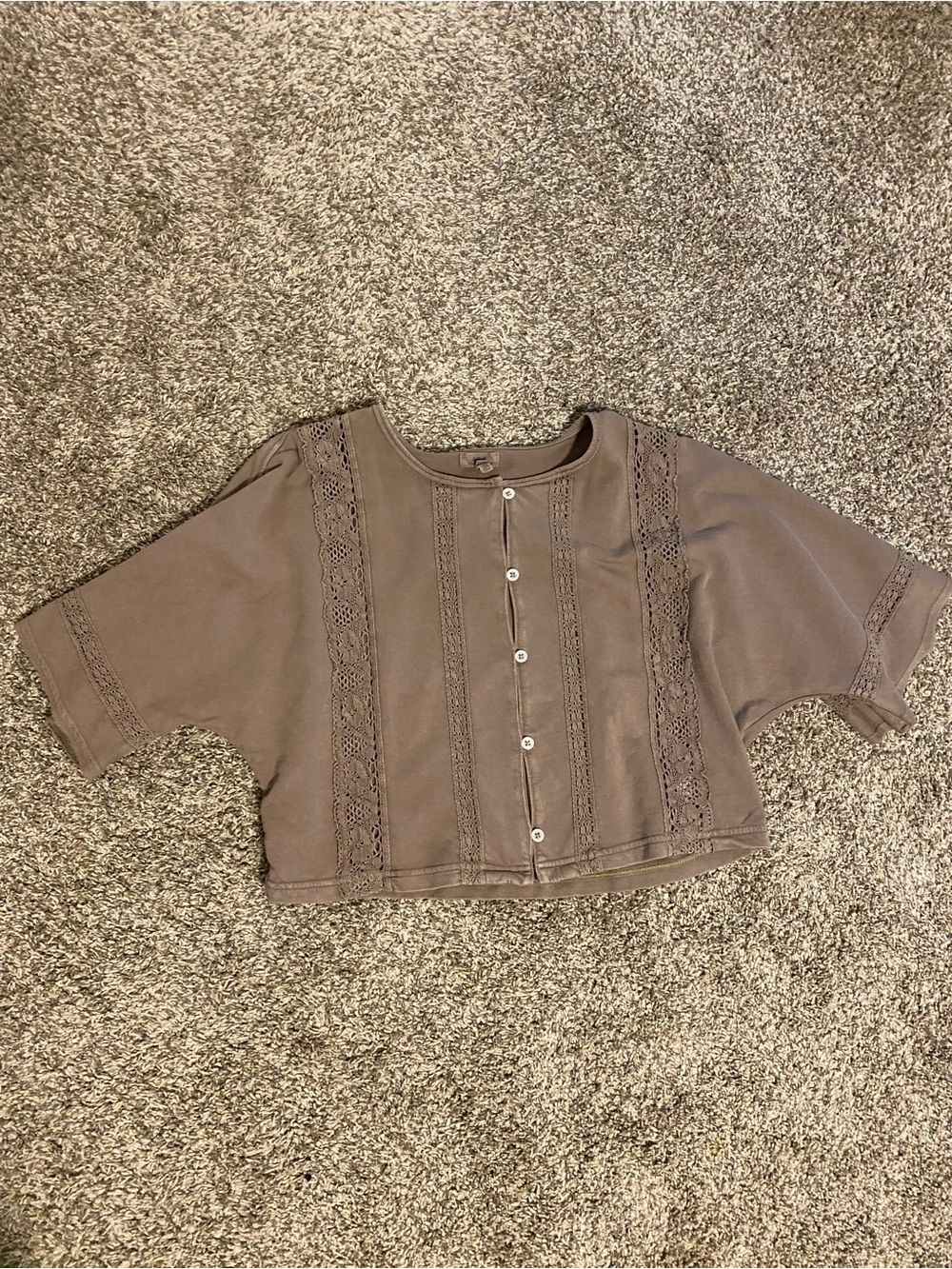 aerie Taupe Lace-Trim Button Down Cropped Top